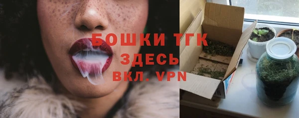 амф Бронницы