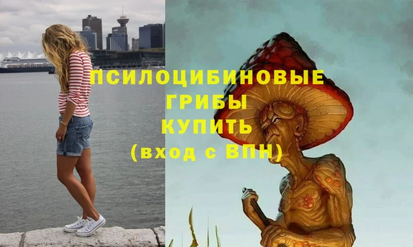 ПСИЛОЦИБИНОВЫЕ ГРИБЫ Верхний Тагил