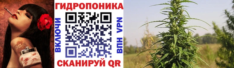 Каннабис OG Kush  Ростов 